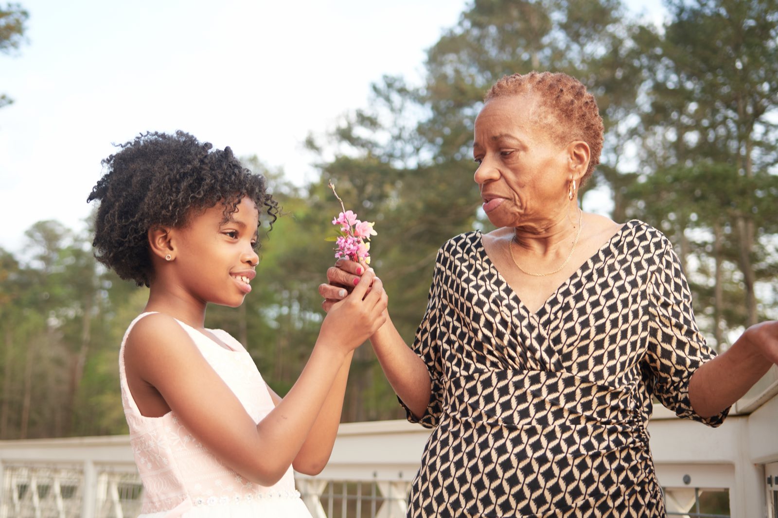 A girl handing a flower to her grandmother.